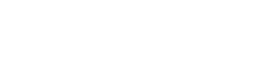 NexoBrid logo